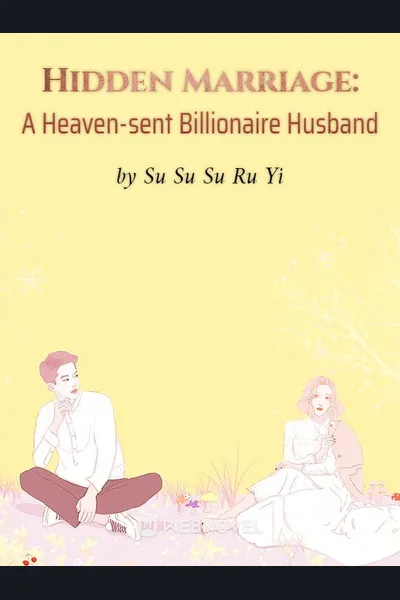 Hidden Marriage: A Heaven-sent Billionaire Husband