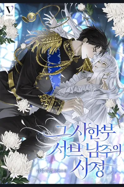 The Circumstances of the Limited-Time Second Male Lead